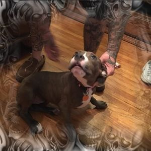 Meet your Posher, Jesse